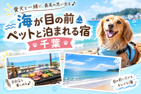 海が目の前でペットと泊まれる宿千葉